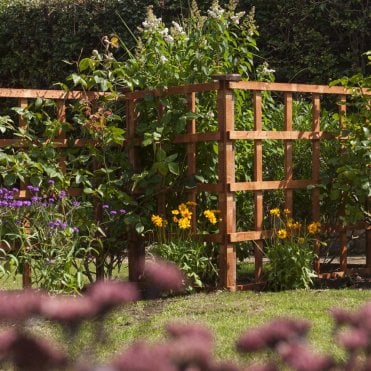 6' x 6' Heavy Duty Trellis Dip Treated