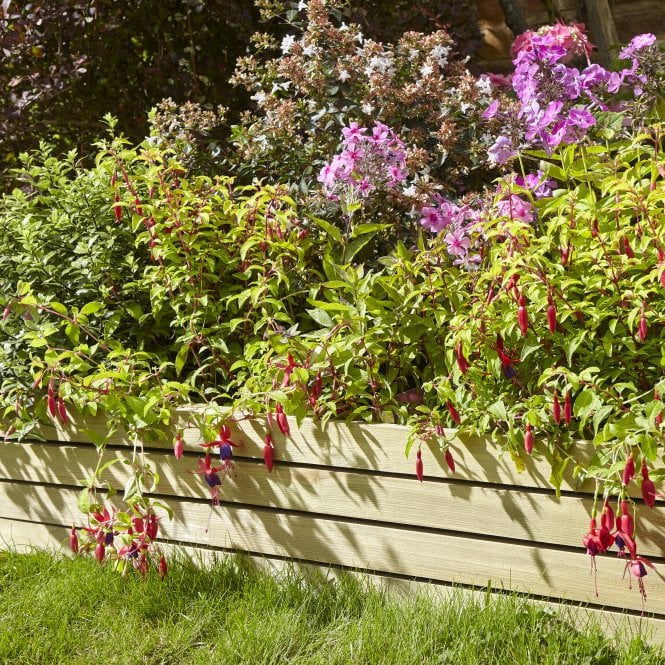 8" Ledbury Border Edging - Pack of 2