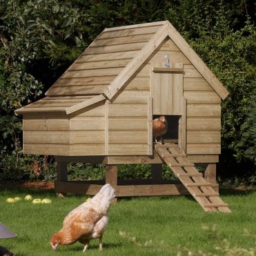 Large Chicken Coop