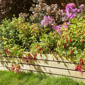 Garden Edging